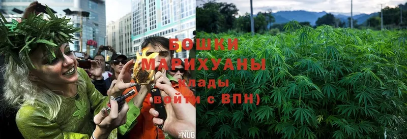 Конопля Ganja  МЕГА как войти  Кологрив 